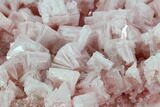 Pink Halite Crystal Plate - Trona, California #130671-2